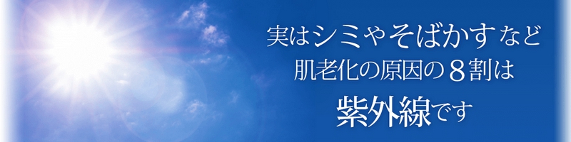 �I�[���C�������������e�t�y�G�o�[�s���N �z���C�g�Z�����z���T�C�g